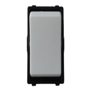 2 Way Lion Module Switch 16Ax250V~