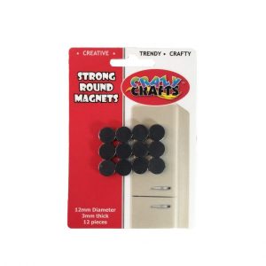 Round Magnets 12mmx3mm 12 Piece