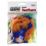 Colourful Basic Feathers 20 Piece
