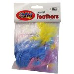 Assorted Pastel Feathers 20 Piece