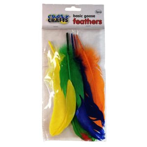 Assorted Goose Feathers 5 Piece