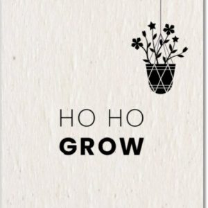 Growing Paper Christmas Ho Ho Grow Card