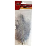 Large Silver Feathers 5 Piece
