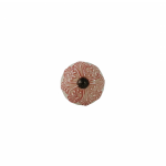 Coral Floral Overlay Round Knob