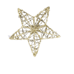 Large Gold Star