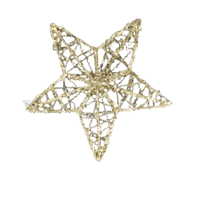 Large Gold Star