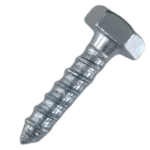 Coach Screw 10mmx40mm Each