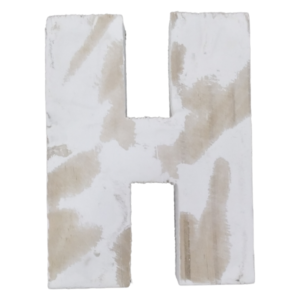 Wooden Letter | H