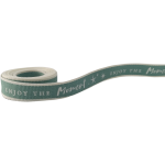 Cream On Sage Enjoy The Moment Ribbon 2mx15mm