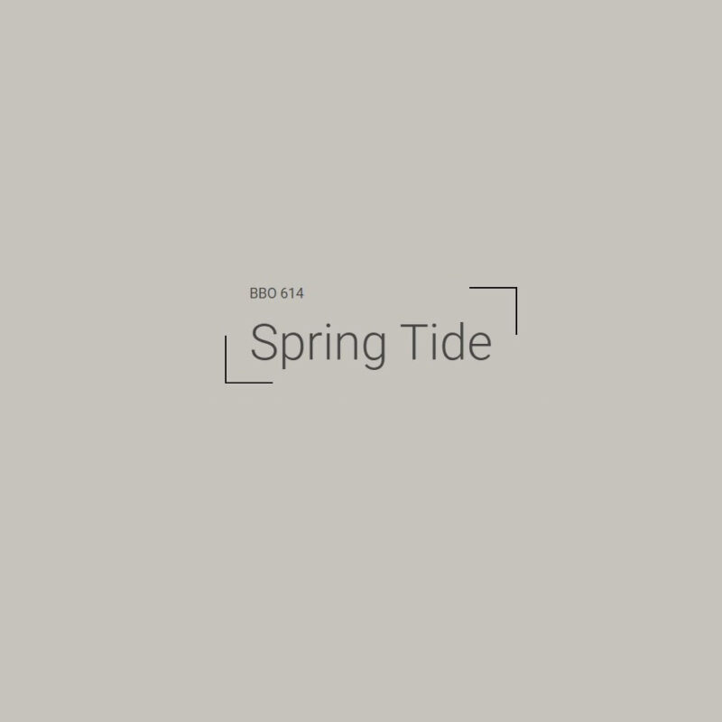 Plascon Micatex Texture Exterior Paint Spring Tide 5L - Image 2