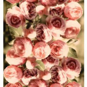 Rosey Blooms Decoupage Print Paper A3