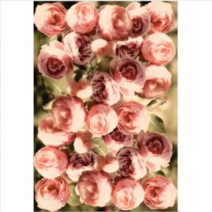 Rosey Blooms Decoupage Print Paper A4