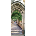 Tear Resistant Door Print Archway 815 x 2050