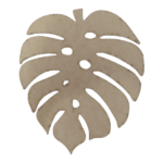 Delicious Monster Leaf 10cm