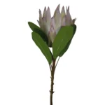 Artificial King Protea Flower Green 75cm_DL48087_2