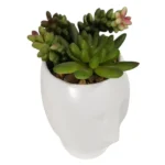 Artificial Succulents in White Head Planter 10 x 20.5cm_102032_4