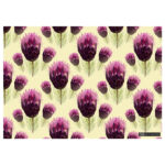 Protea Flora Gift Wrapping Paper (49cm x 69cm)