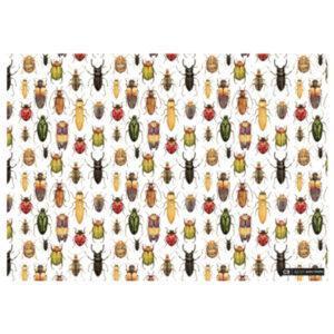 Bright Beetles Gift Wrapping Paper (49cm x 69cm)