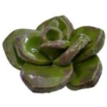 Succulent Mosaic Insert Dark Green_SUC-003AD_2