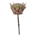 Synthetic-Protea-Flower-Pink-67cm-NZ757U1_6