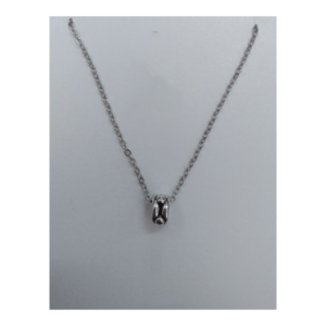 Silver Ring Pendant On Silver Chain Necklace