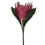 Artificial Protea Flower Pink & Green 71cm_XSJ1A_2