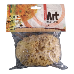 Honeycomb Natural Sea Art Sponge 11cm