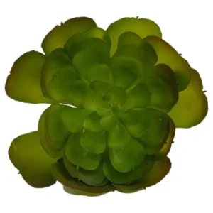 Artificial Succulent Green Arboreum 10 x 8cm_FAO463S1_1