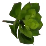 Artificial Succulent Green Haworthi 10 x 8cm_FAO179SI_2