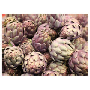 Purple Artichoke - Disposable Placemat 30 x 42 cm | 24pc