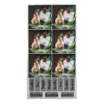 Tear-Resistant-Deco-Mini-Prints-_-Esther-Chicken_WD3215_1