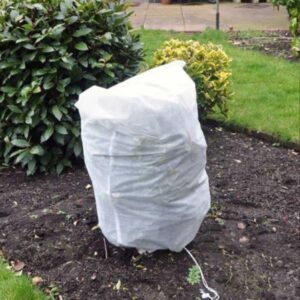 Academy Frost Cover Application