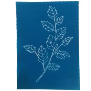Silkscreen Stencil Branch With Leaves 17 x 14cm_B110_1