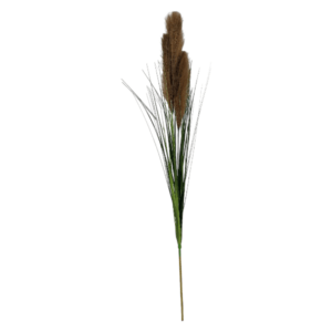 Synthetic-Pampas-Stem-Charcoal-90cm-NZ945U1_1