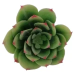Artificial Plant Green Desert Rose 11 x 13cm_NN944U1_1