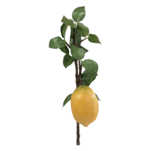 Artificial Plant Lemon Branch IM1170_1