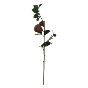 Artificial Plant Pear Branch Red 1118BR_9