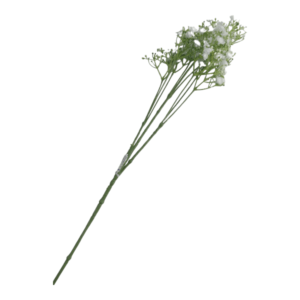 Gypsophila Spray | 70cm White