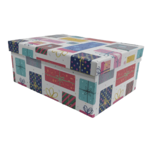 Gift Box _ Gift Wrapping 25 x 18 x 10cm_B003-2231_4_1