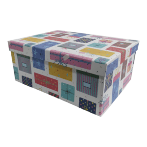 Gift Box _ Gift Wrapping 29 x 21 x 12cm_B003-2231_6_1
