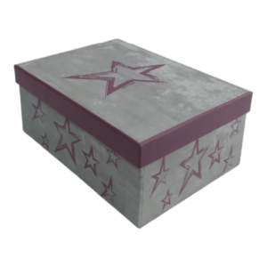 Gift Box _ Star Wrapping 22 x 16 x 9cm_B003-2225_3_1