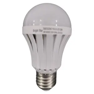 Bright Star Rechargeable LED Globe | 5W | Cool White, E27