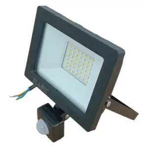 Flash-LED-Floodlight-with-Sensor-30W-Black_TG008S_1.