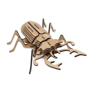 3D-Wooden-Model-_-Stag-Beetle_INS10_1