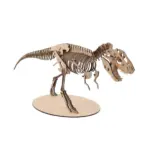 3D-Wooden-Model-_-T-Rex_DINO6_1