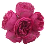 Artificial-Passionata-Peony-Flower-Purple-32cm_B996_2