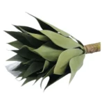 Artificial-Plant-Small-Agave-Plant-40cm_DL47202_1