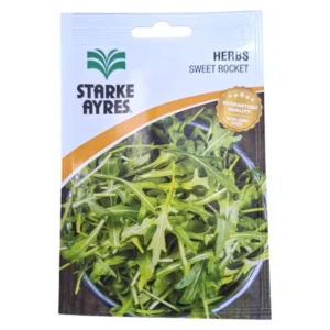 Starke-Ayres-Sweet-Rocket-Herb-Seeds-1G_VHAYR-SR_1