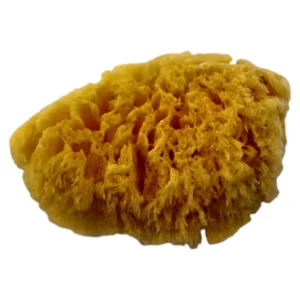Pro-Art-Coarse-Sponge-5-Inch_HCO455_1