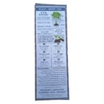 Sow-Delicious-Pure-Seeds-Wild-Rocket-5-Blocks_PR-ROCKET_1